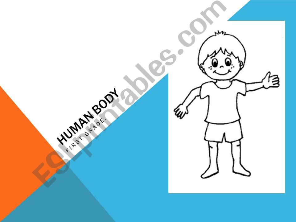 Humanbody  powerpoint