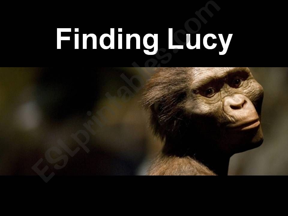 Lucy, the fossil powerpoint