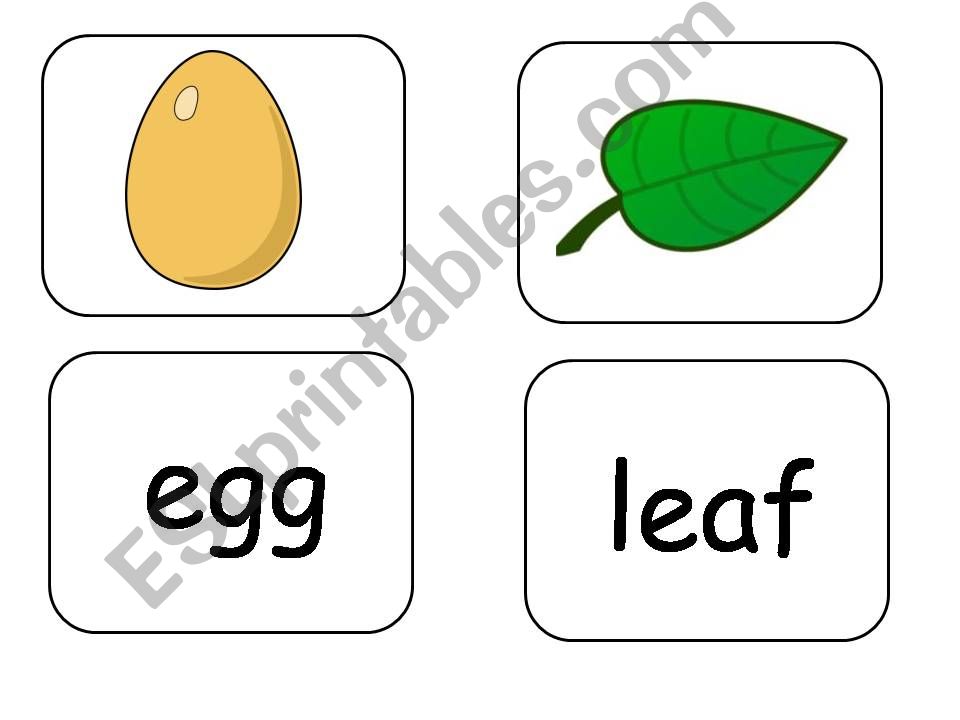 caterpillar vocab powerpoint