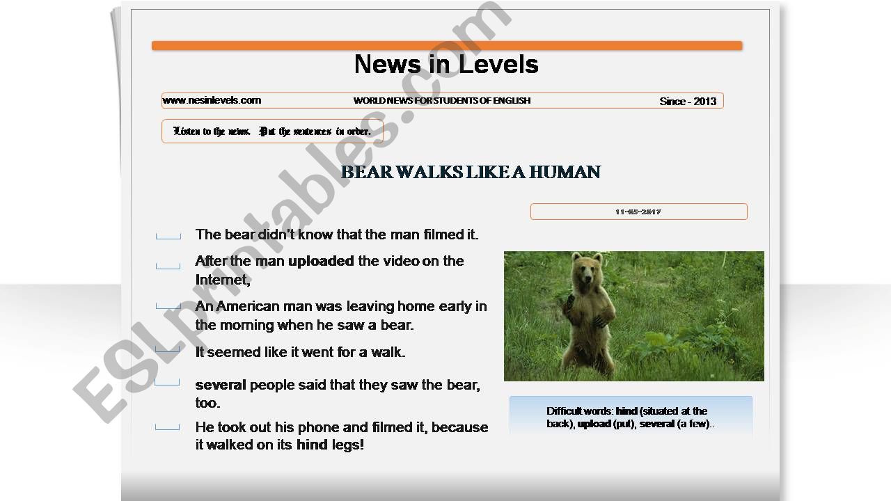 Bear Walks Like a Human powerpoint