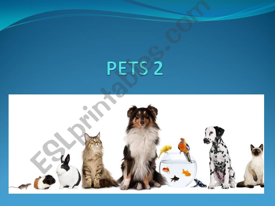 PETS. Trinity grade 2 powerpoint