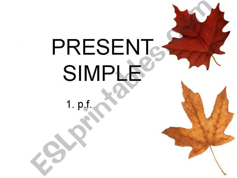 Grammar Present Simple, Present Continuous