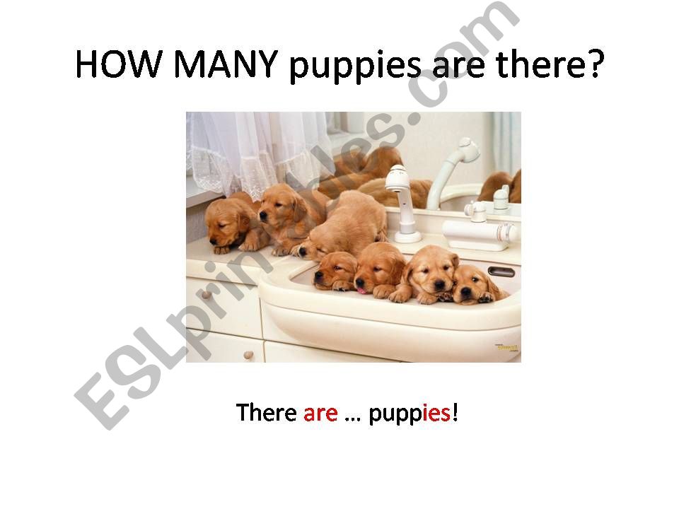 How many...? powerpoint