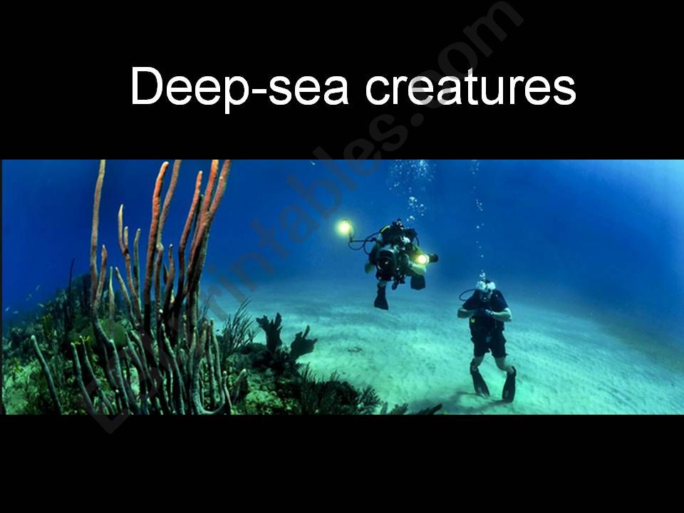 Deep-sea creatures powerpoint