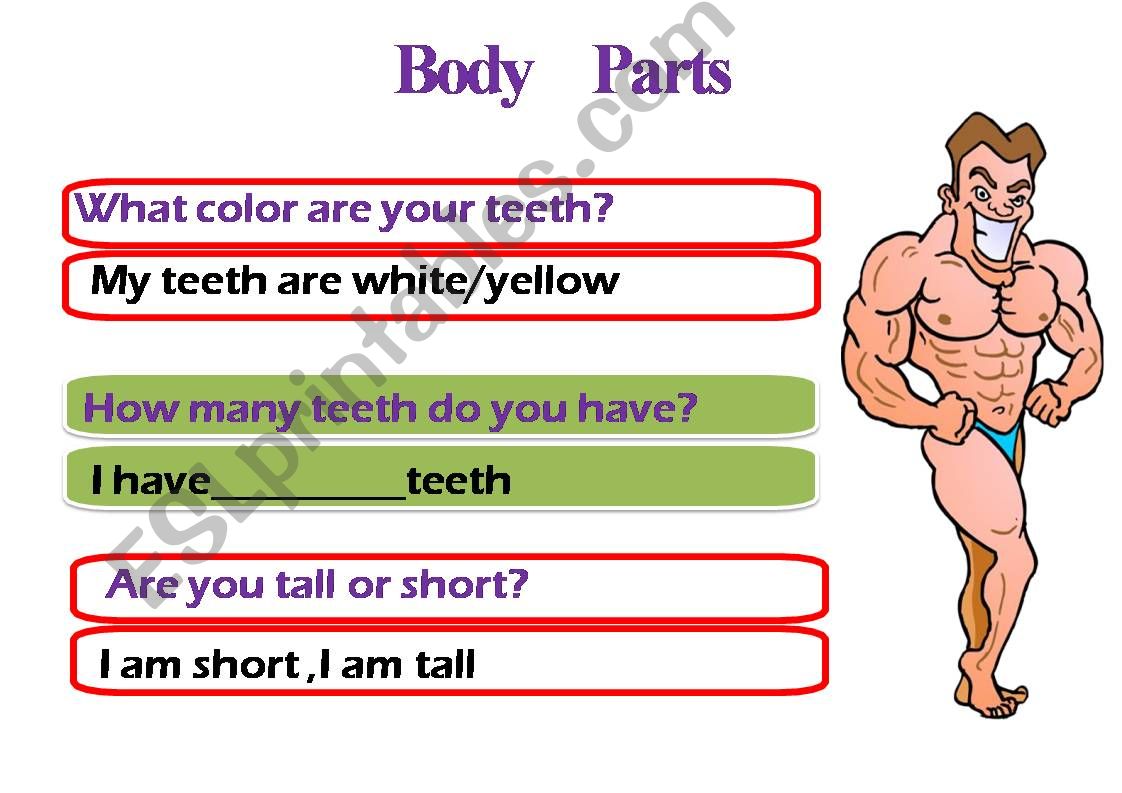 Body Parts powerpoint