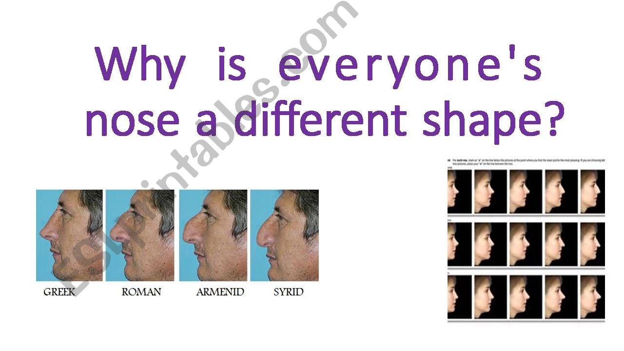 Different shapes of noses powerpoint