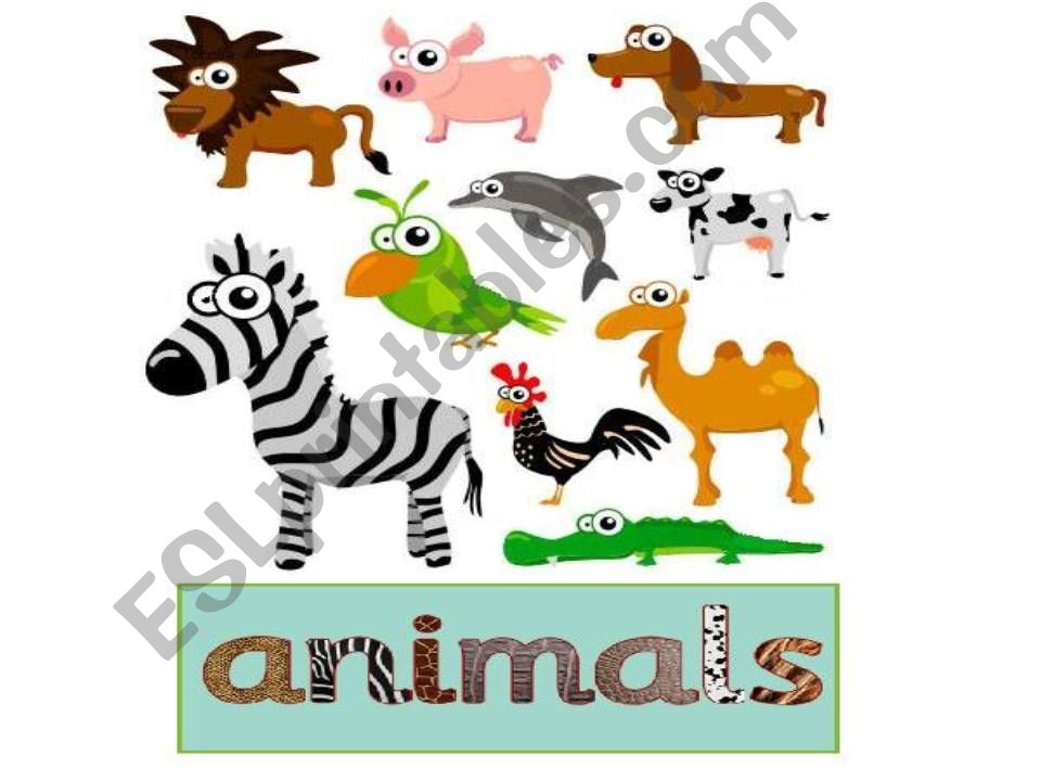 Animals powerpoint