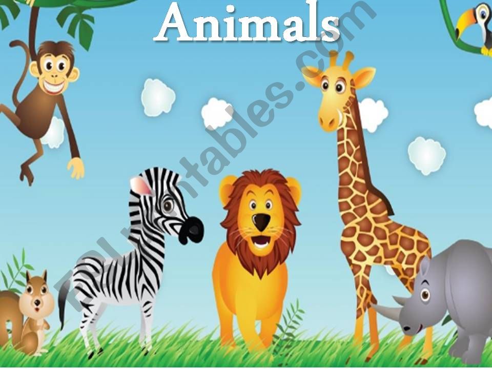 ANIMALS powerpoint