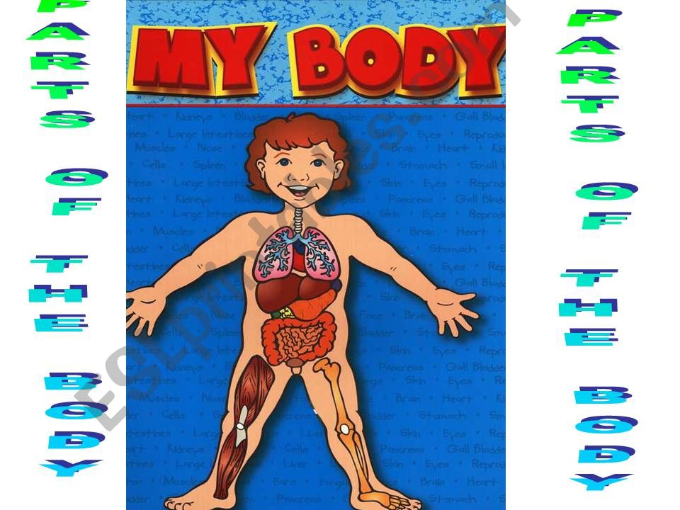 body parts powerpoint