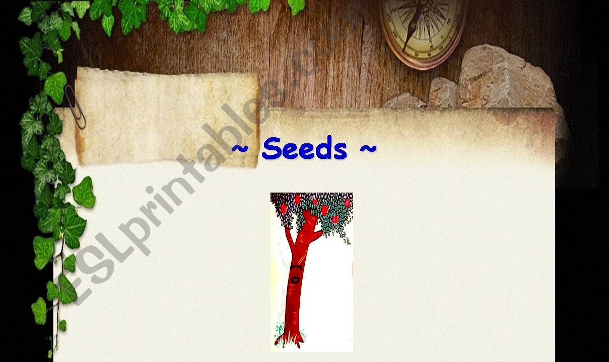 seeds and plants powerpoint