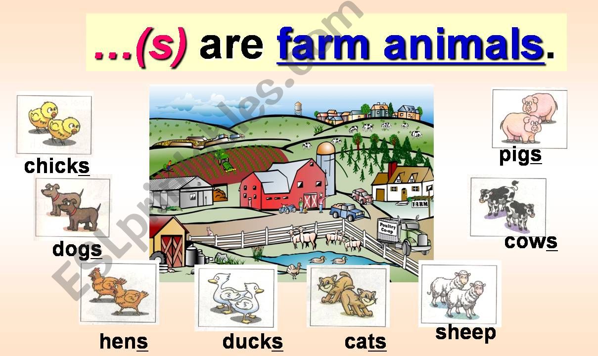 Farm animal riddles powerpoint