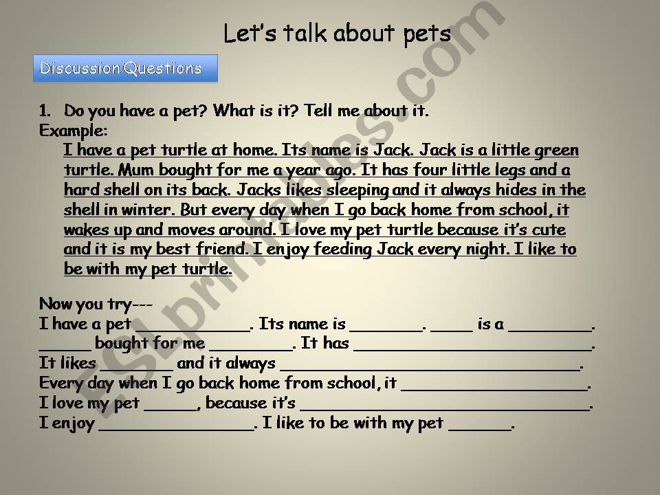 Lets talk about pets powerpoint