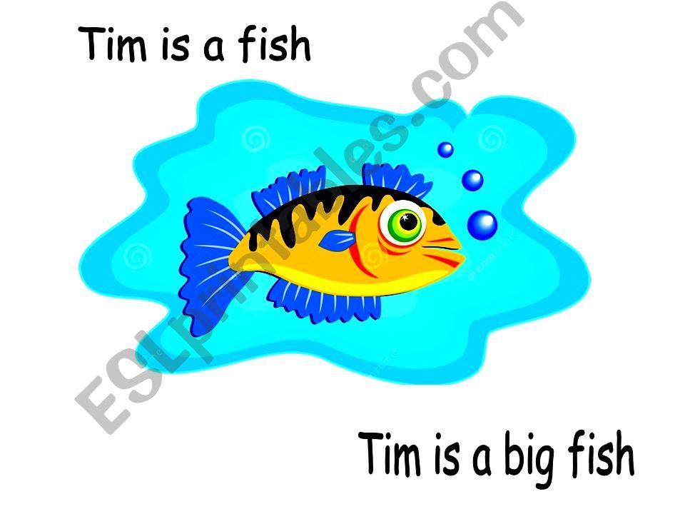 Tim is a Fish powerpoint