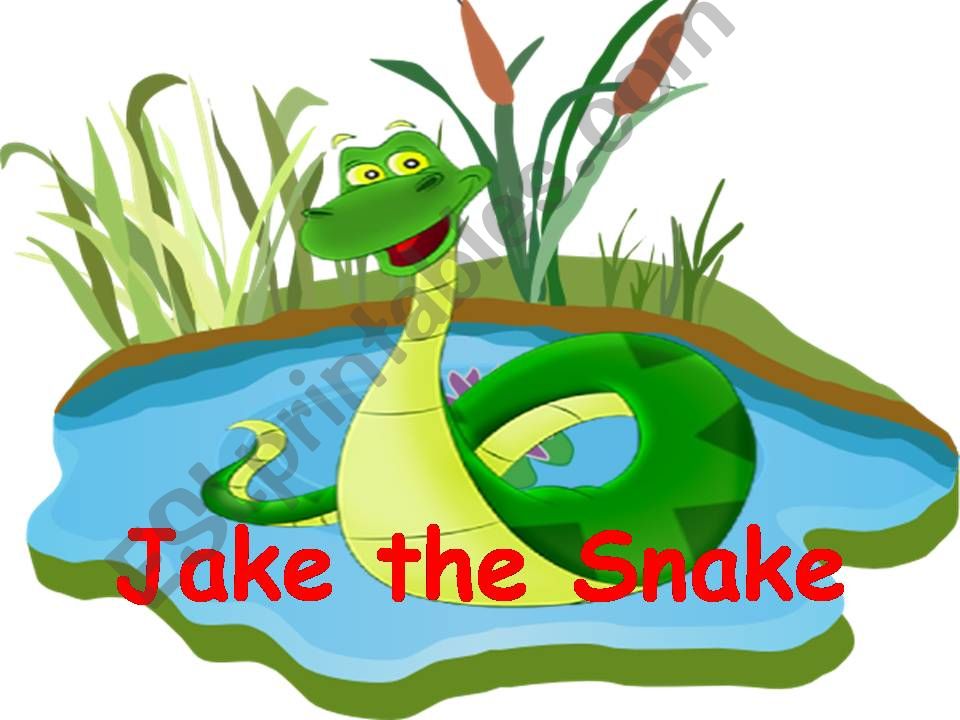 Jake the Snake powerpoint