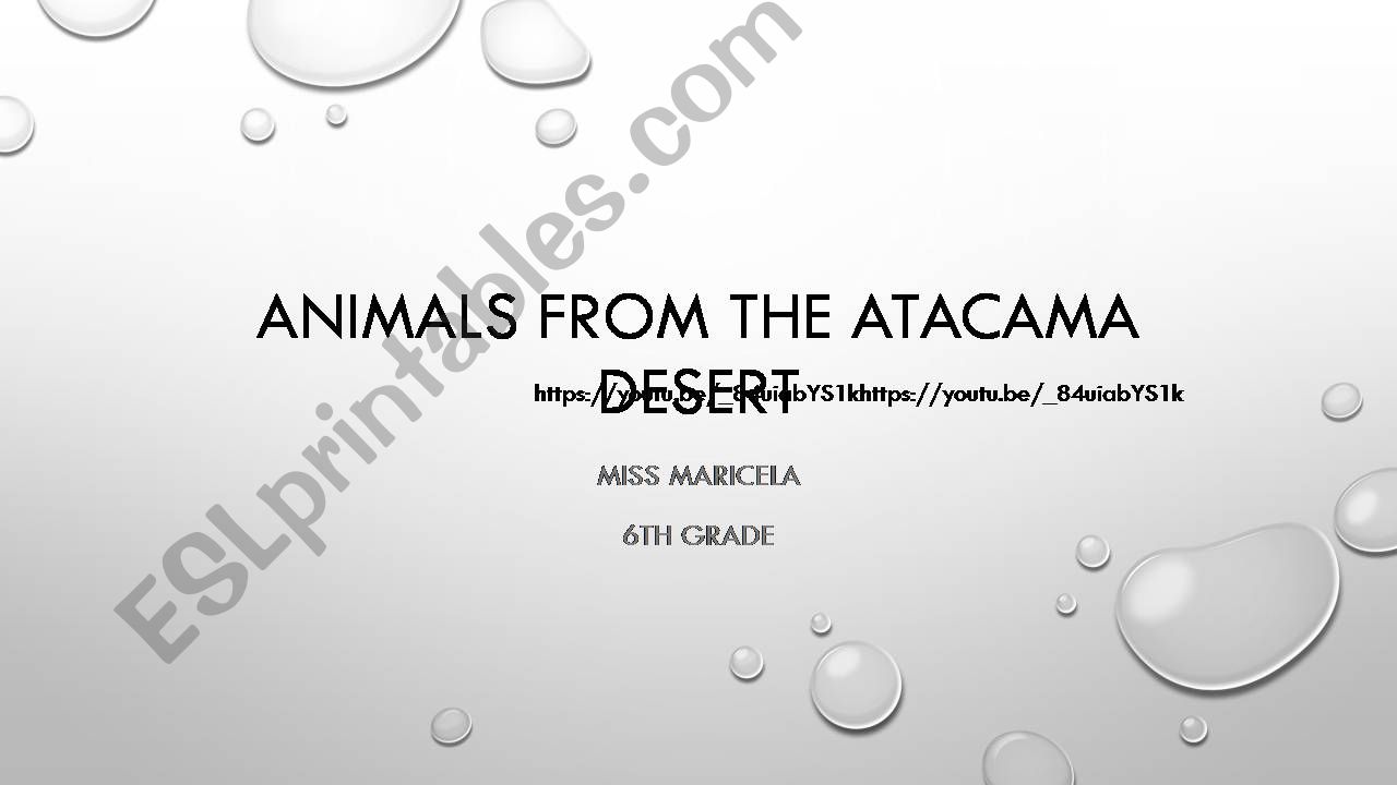 animals from the atacama desert