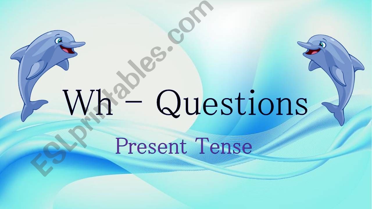 Wh-Questions (Simple Present Tense)
