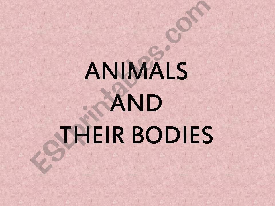 Animals bodies powerpoint