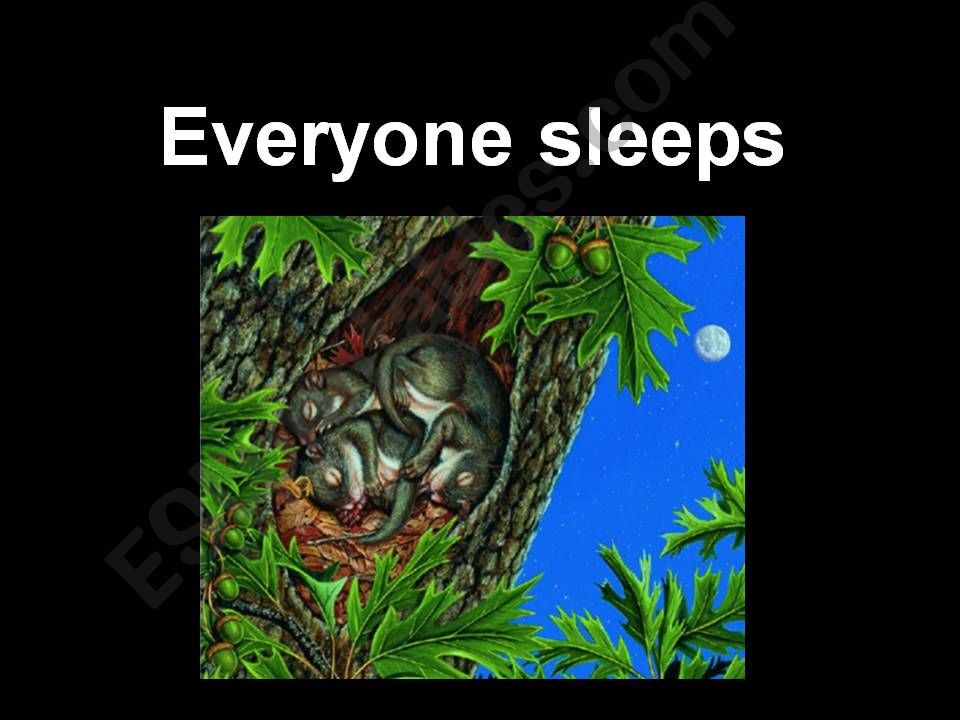 How do animals sleep powerpoint