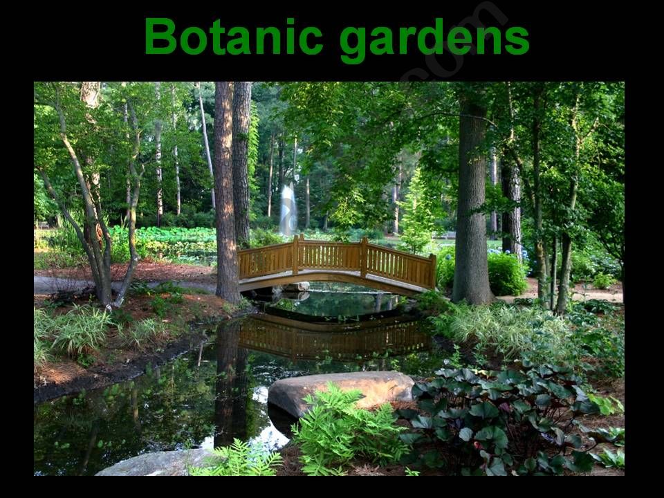 Botanic gardens powerpoint