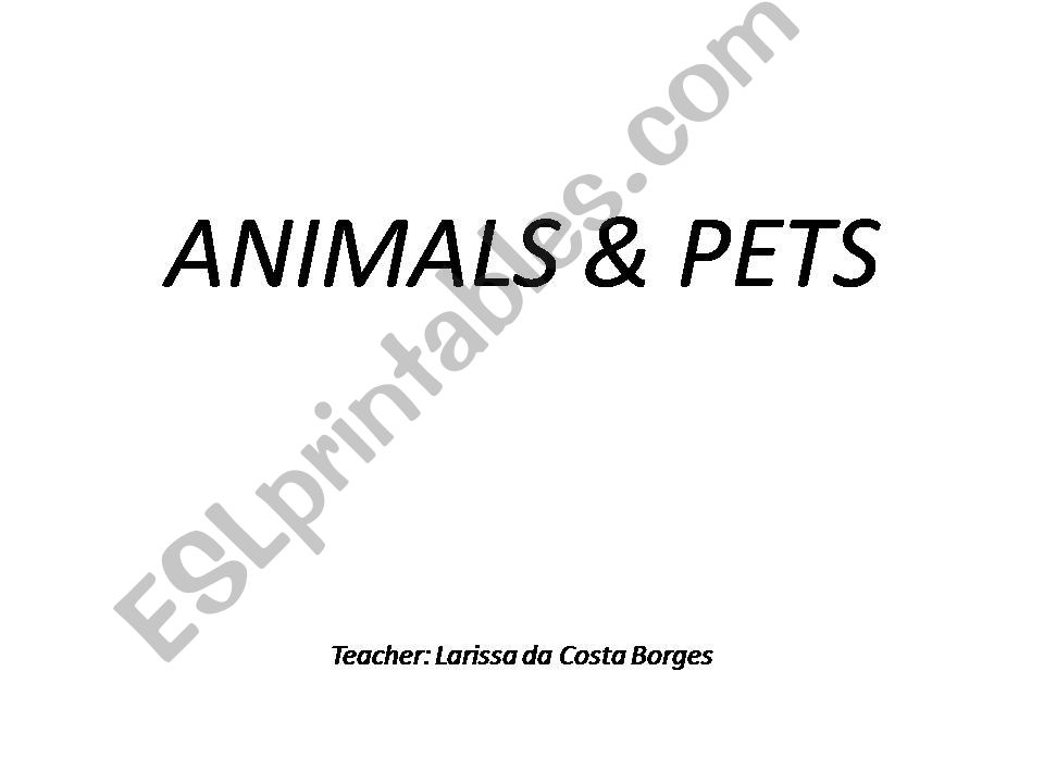 Animals and Pets  powerpoint