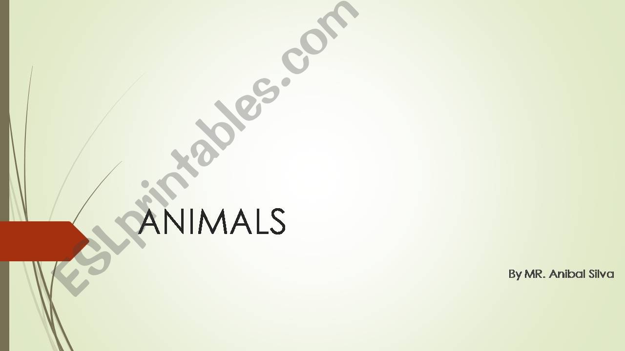 animals powerpoint