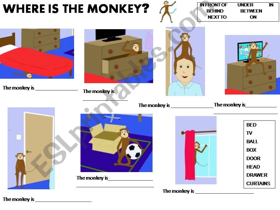 Where is the monkey? powerpoint