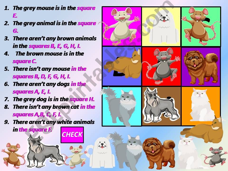 Animals powerpoint