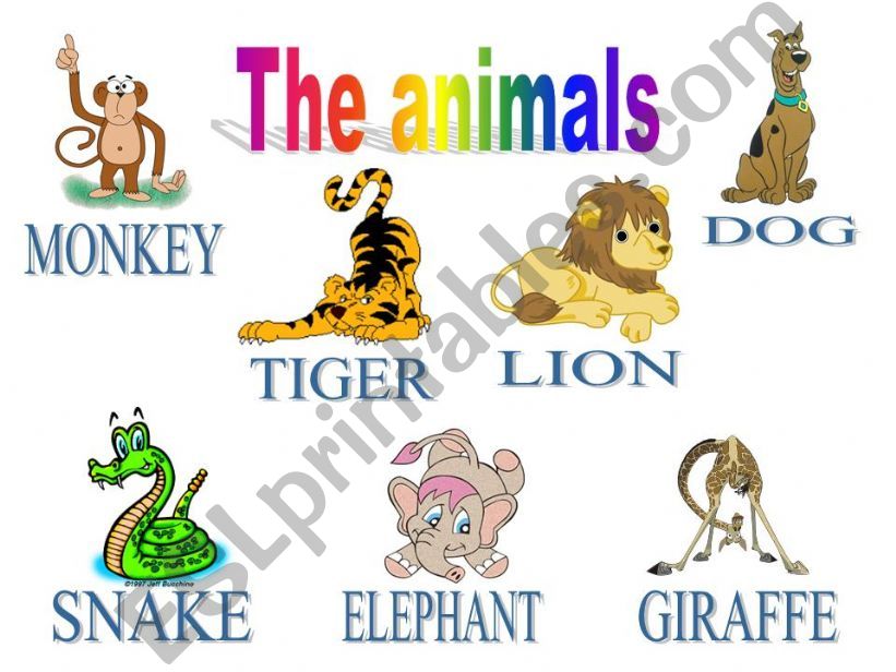 THE ANIMALS powerpoint