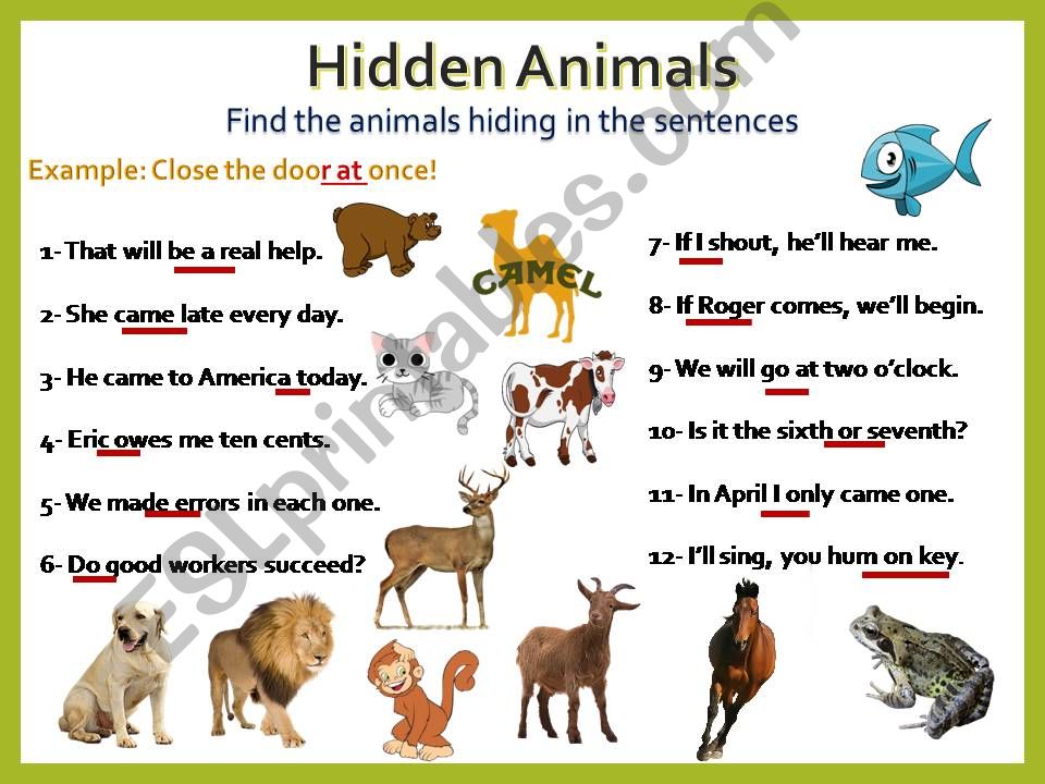 hidden animals game powerpoint