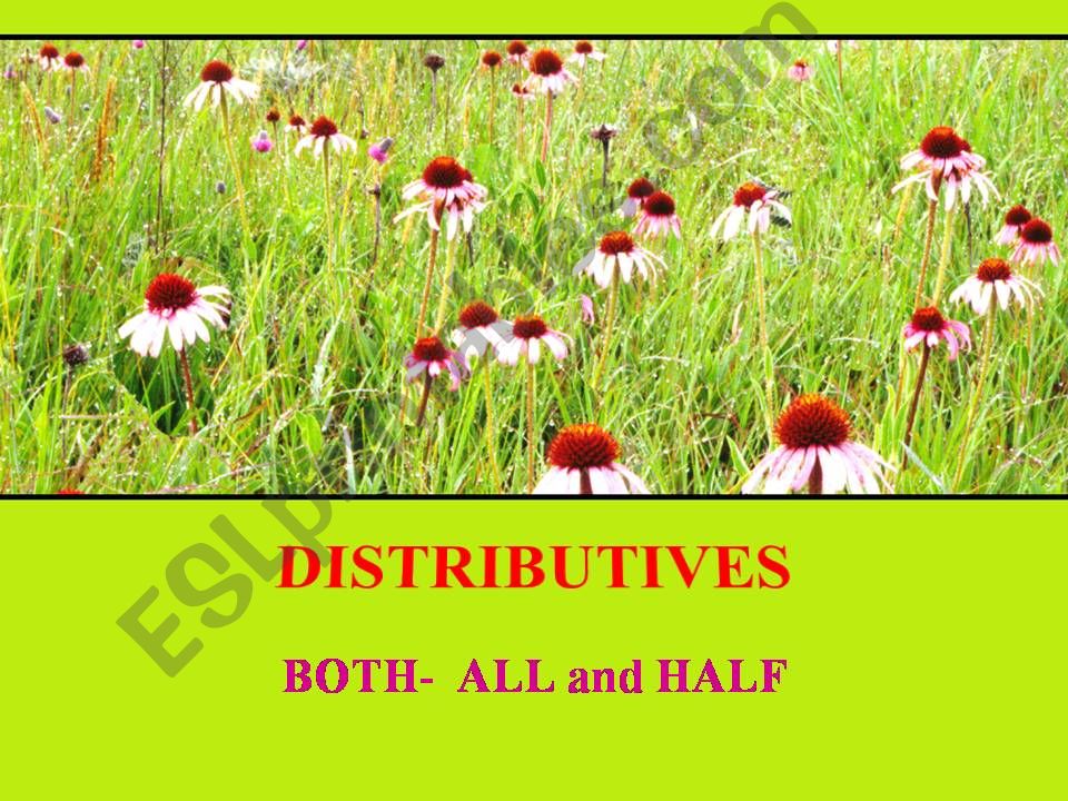 esl-english-powerpoints-both-in-grammar