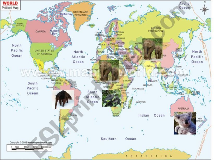 where do animals live? powerpoint