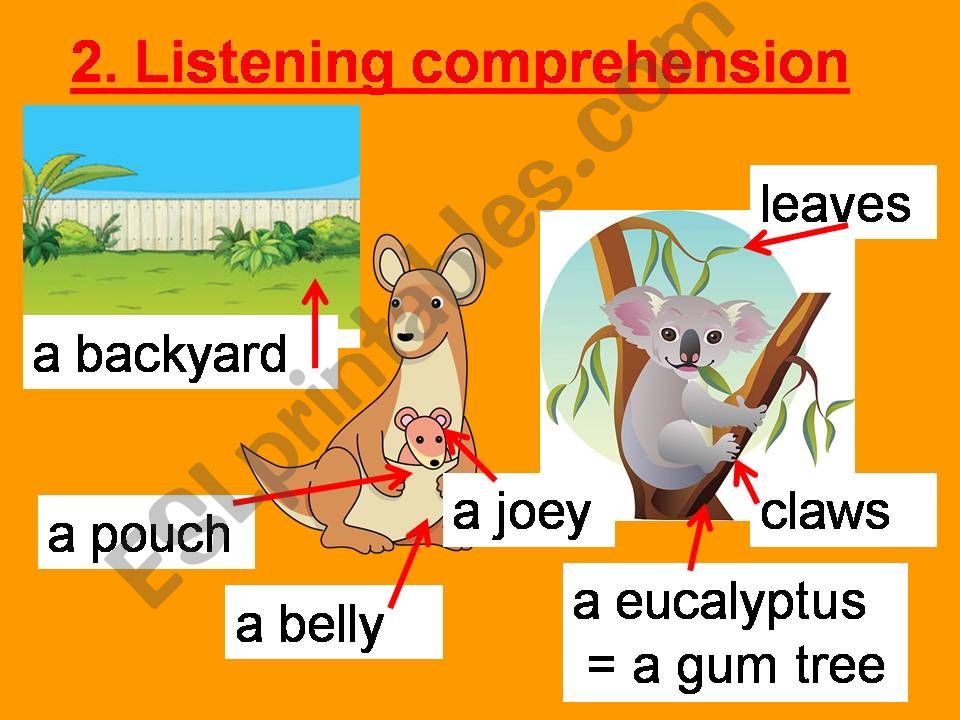 gør det fladt Symposium Kabelbane ESL - English PowerPoints: Australian animals listening