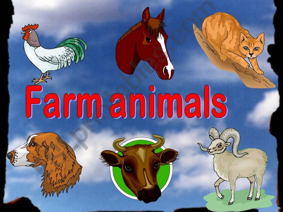 Farm animals low powerpoint