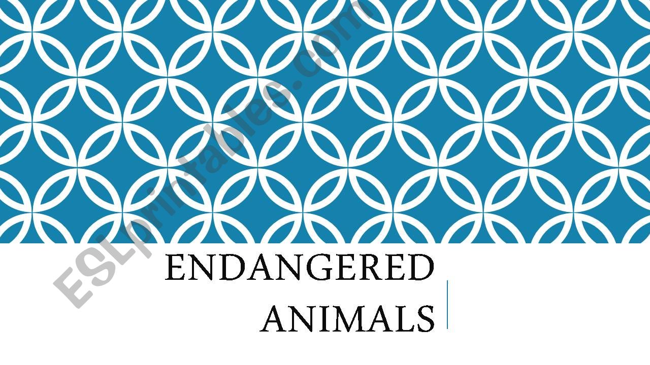 PROJECT ENDANGERED ANIMALS powerpoint
