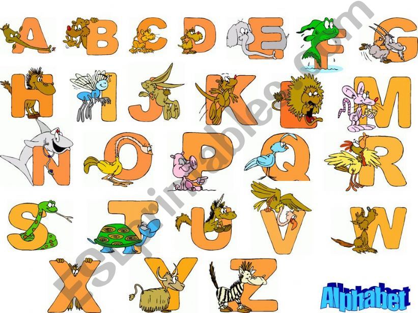 The alphabet powerpoint