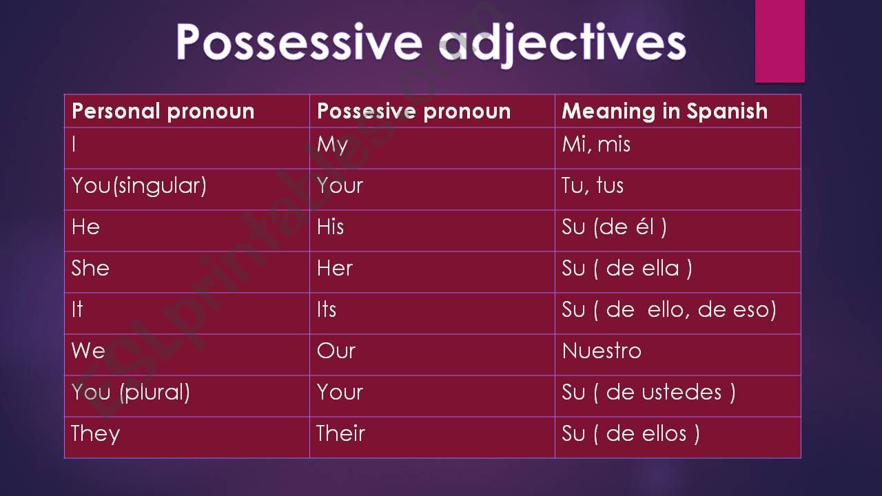 Possessive Adjectives  powerpoint