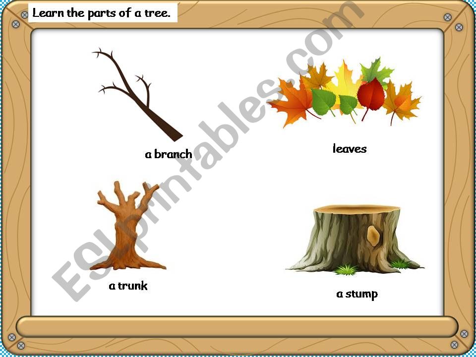 The Giving Tree powerpoint