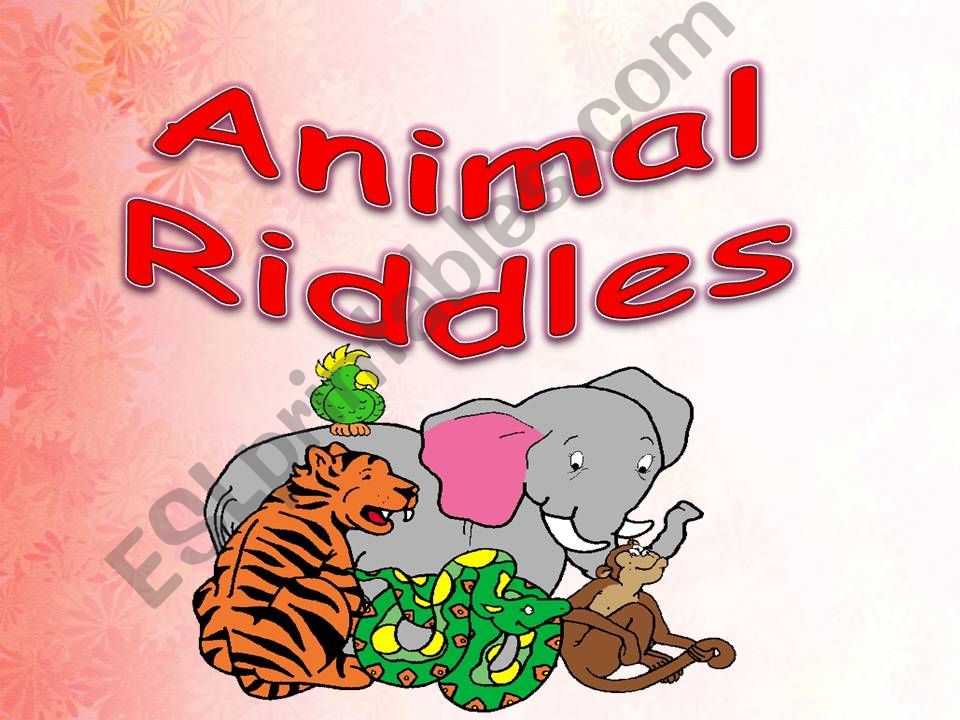 animals riddles powerpoint