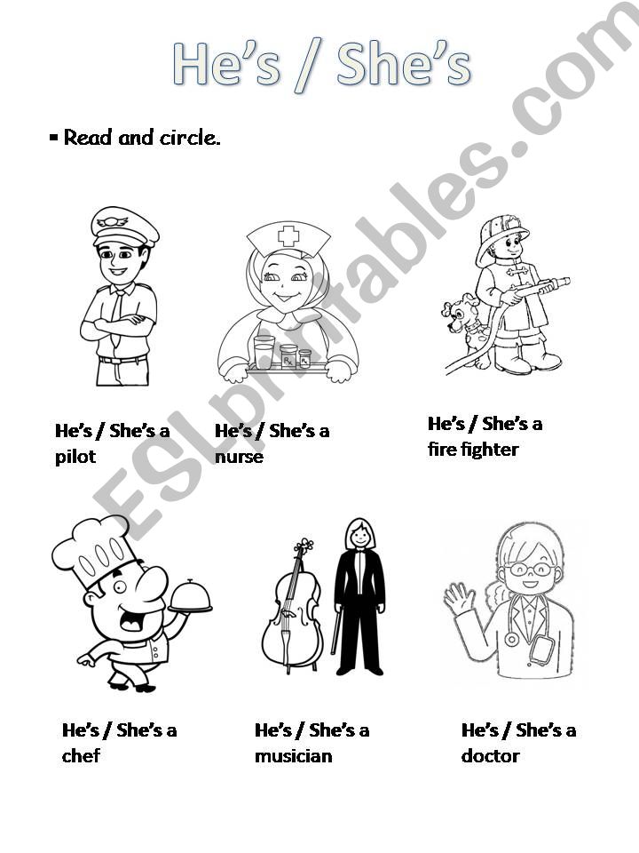 Hes / Shes powerpoint