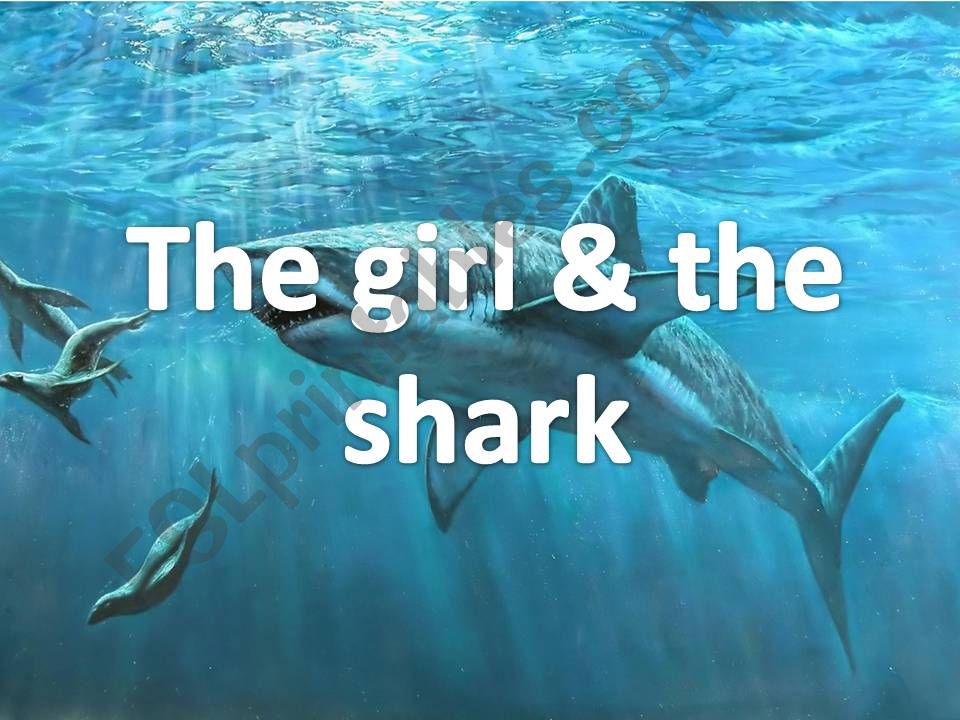 The girl & the shark game Vocabs