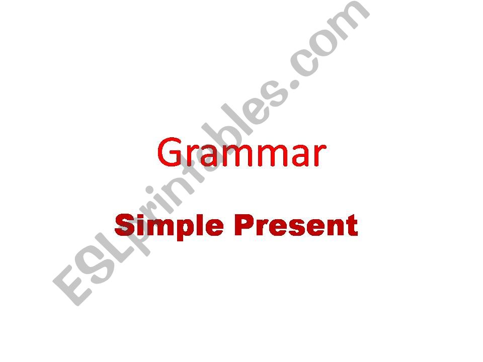simple present + possessive pronouns