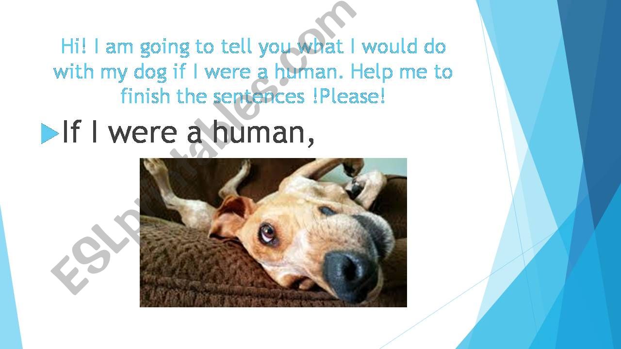 if clause 2 : dogs powerpoint