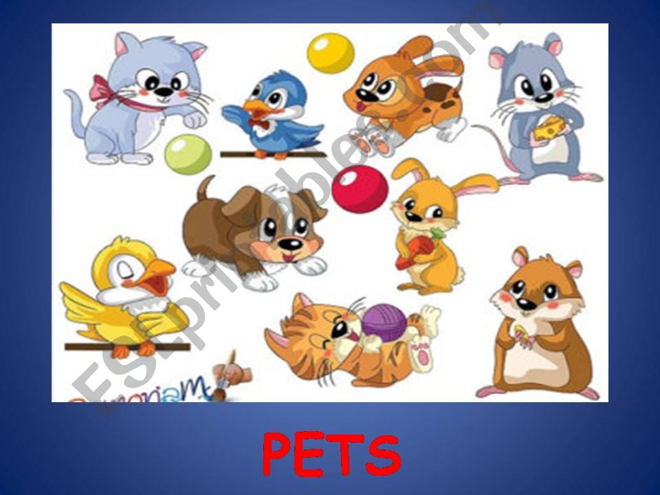 PETS powerpoint