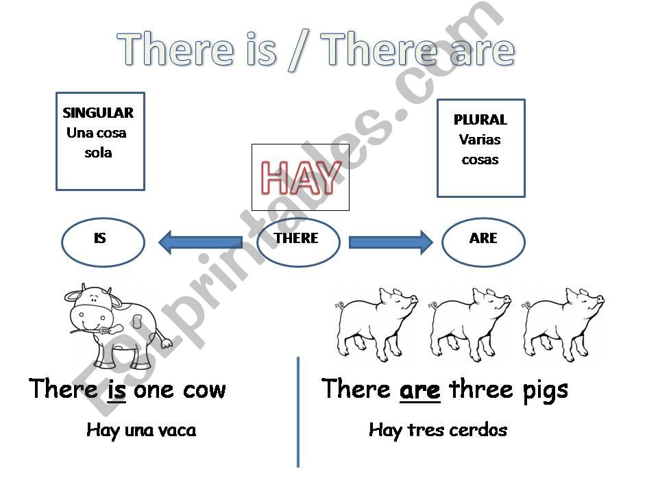 there is & there are (animals)
