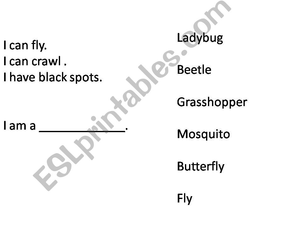 Insect Riddles powerpoint