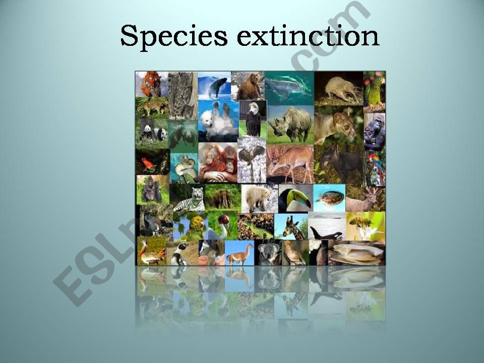 Species extinction 2 powerpoint