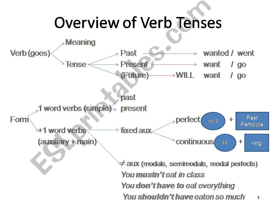 Overview of Verb Tenses powerpoint