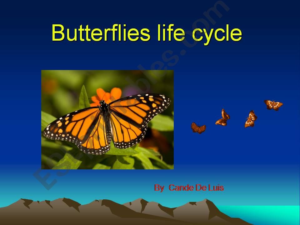 Butterfly Life Cycle powerpoint
