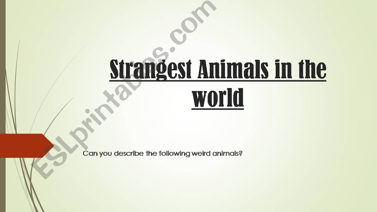 Describe these strange animals