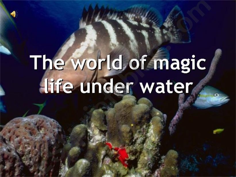 Underwater world powerpoint
